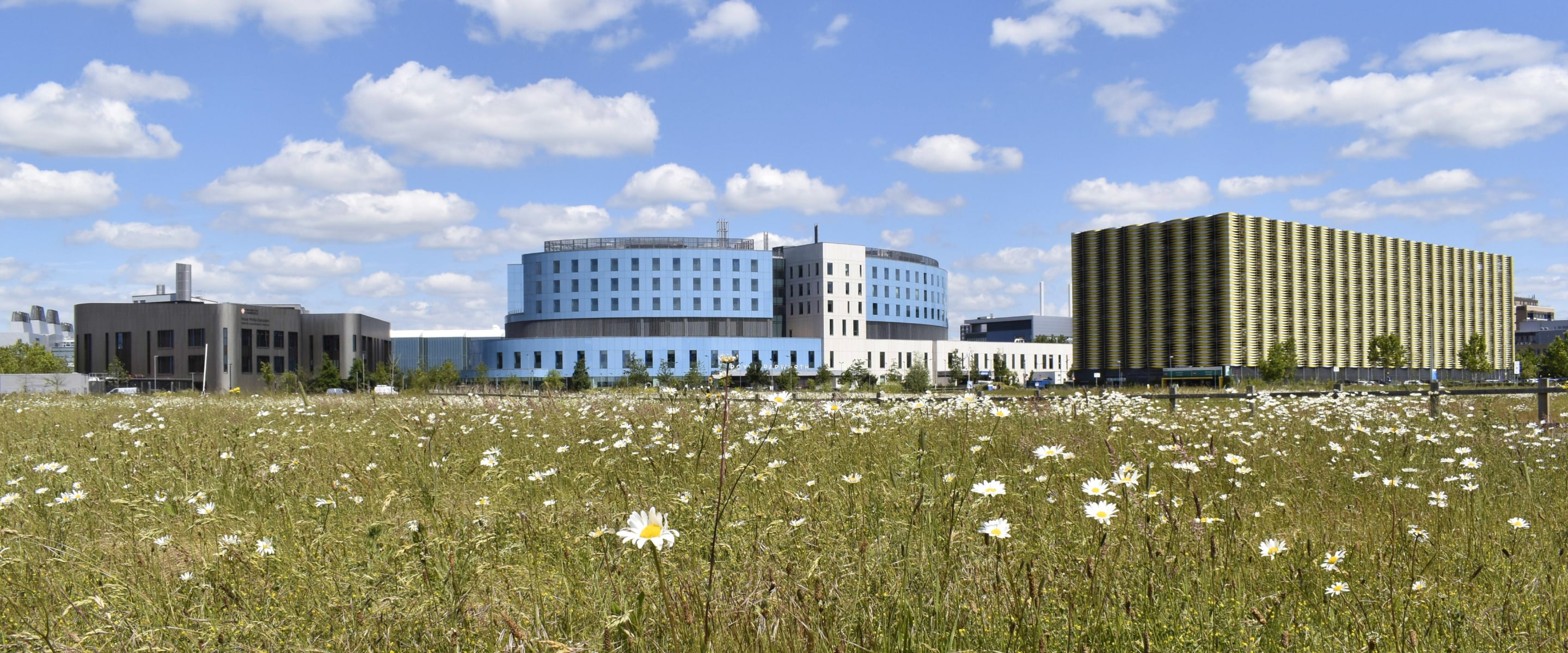 View of HLRI and Papworth Hospital